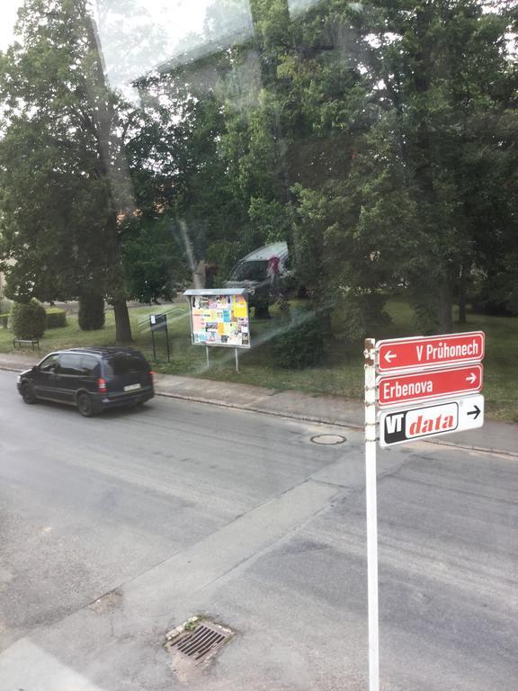 Vysoké MýtoLydiavi公寓 外观 照片