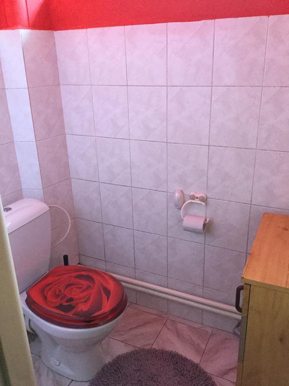 Vysoké MýtoLydiavi公寓 外观 照片